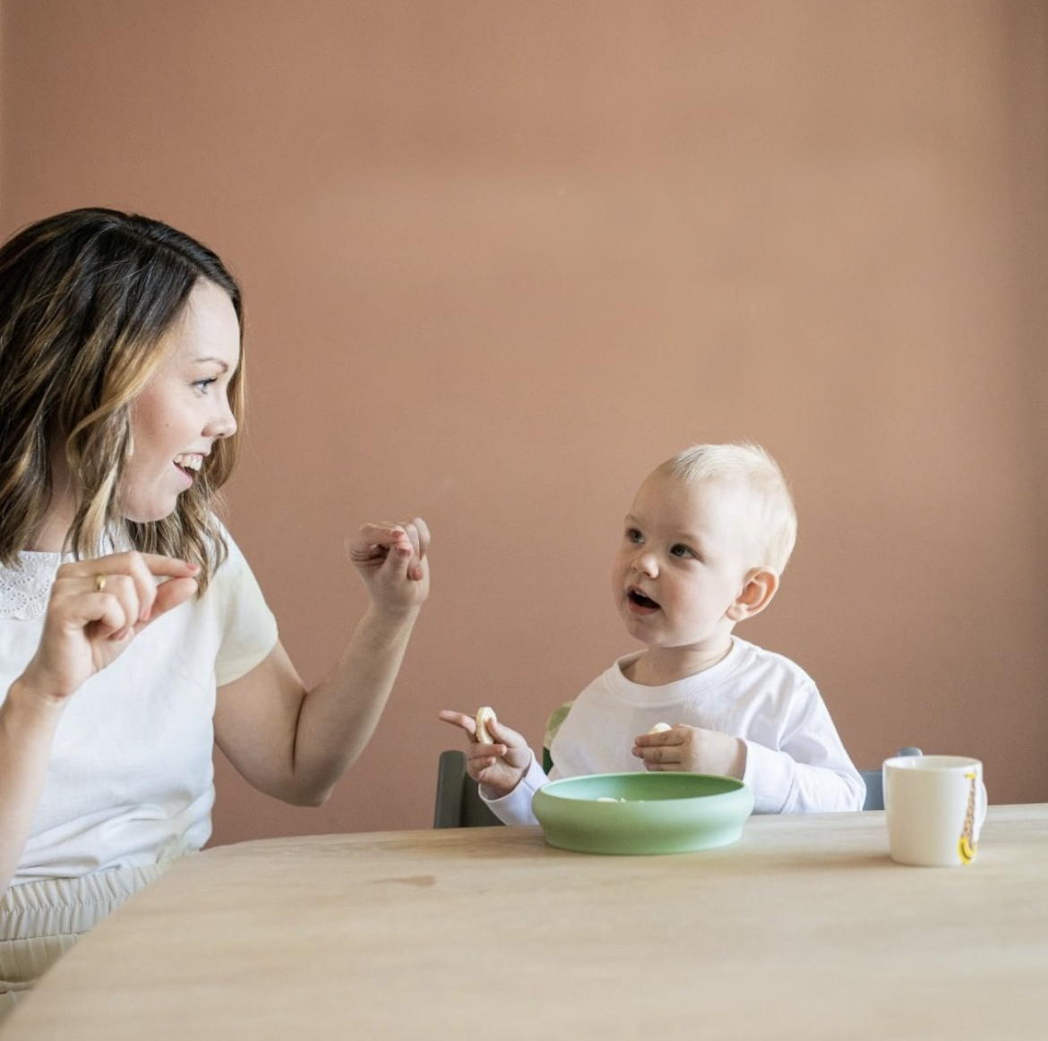 Baby & Toddler Silicone Plates - Set of 2